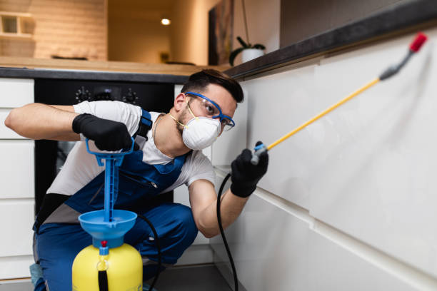 Professional Pest Control in Hinton, WV
