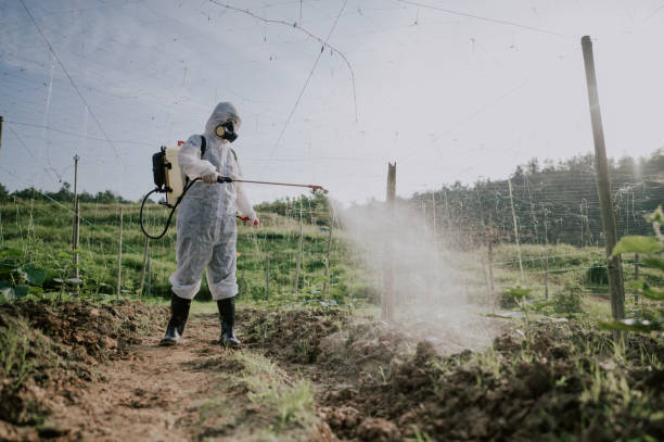 Best Best Pest Control Companies  in Hinton, WV
