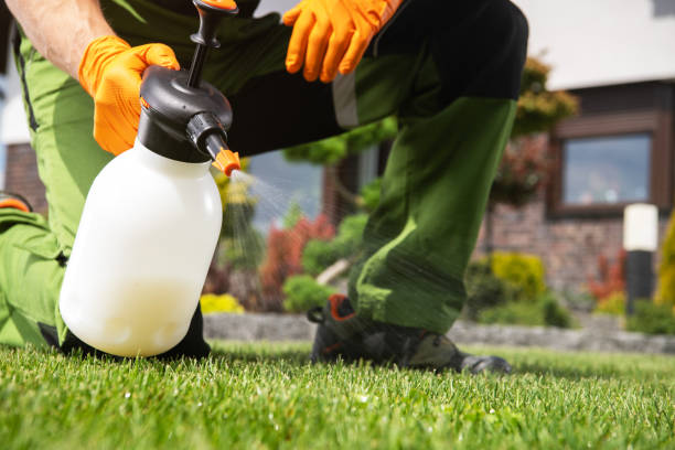 Best Pest Control Near Me in Hinton, WV