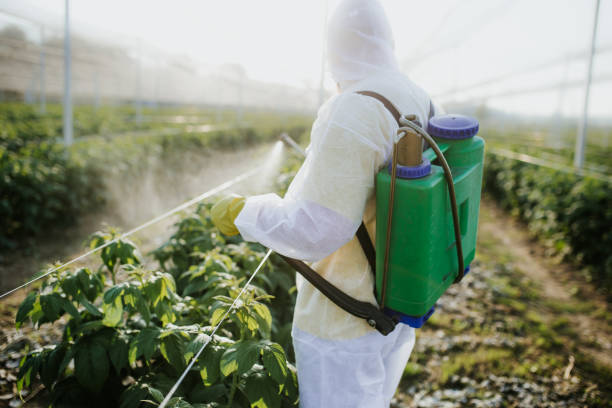 Best Mosquito Control Services  in Hinton, WV